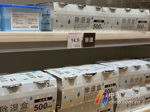 梅雨經濟興起，寧波除濕機與樟腦丸銷售火爆